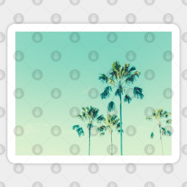 coconut palm tree california Sticker by Oonamin